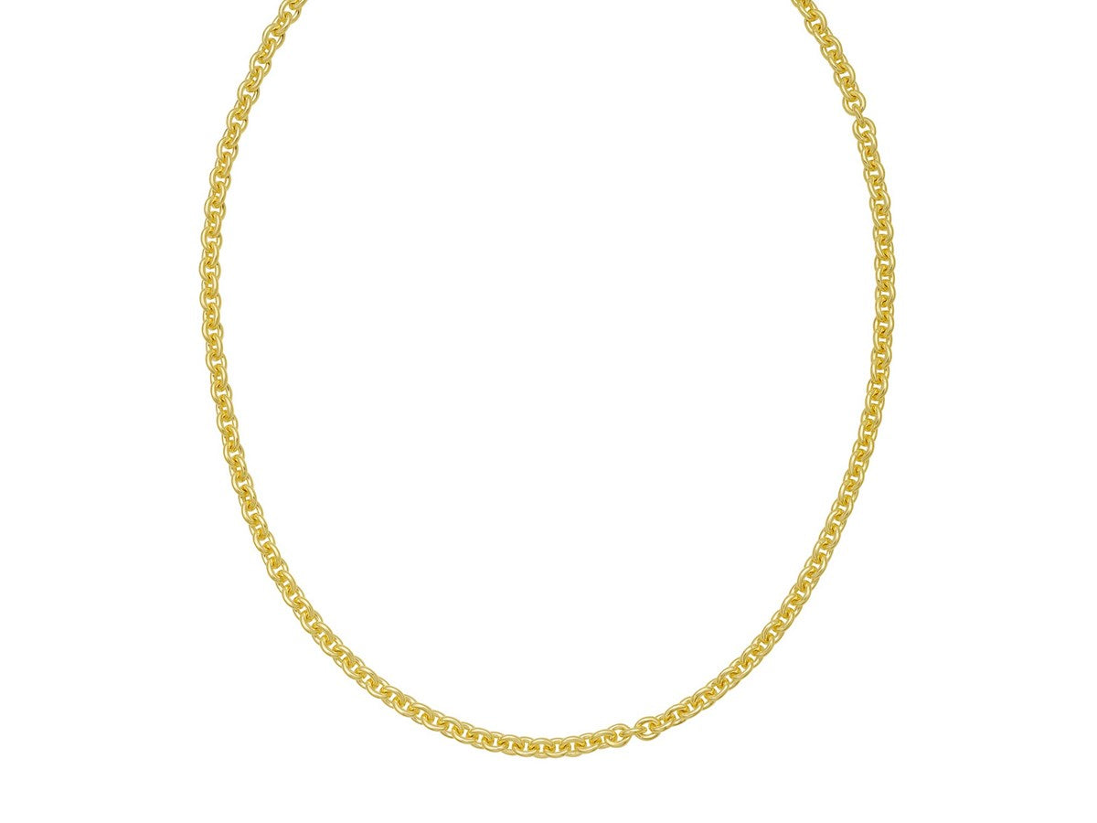 Bold Gold-Plated Rolo Chain Necklace