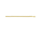 Bold Gold-Plated Rolo Chain Necklace