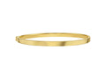 Classic Polished Bangle Bracelet 4.00mm