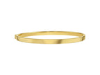 Classic Polished Bangle Bracelet 4.00mm