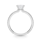 Emerald Cut Diamond Engagement Ring with Hidden Halo 3.8 Carat