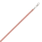 Two-Tone Snake Chain Anklet