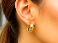 Medium Concave Hoop Earrings in 14K Yellow Gold